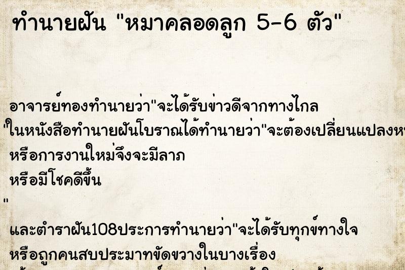 ทำนายฝันทำนายฝันหมาคลอดลูก5-6ตัว